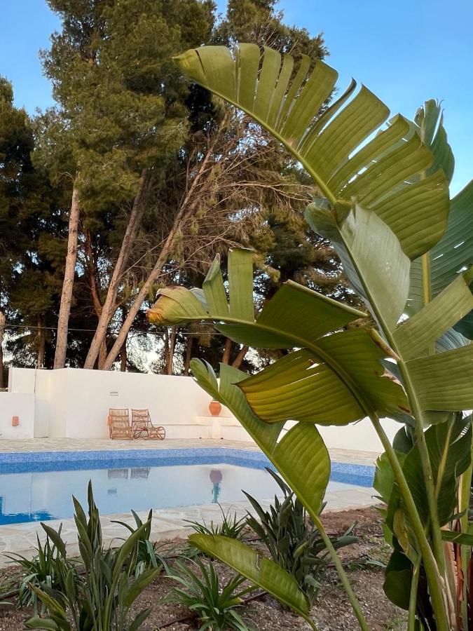 Boutique B&B Casa 381 - Adults Only Jávea Buitenkant foto